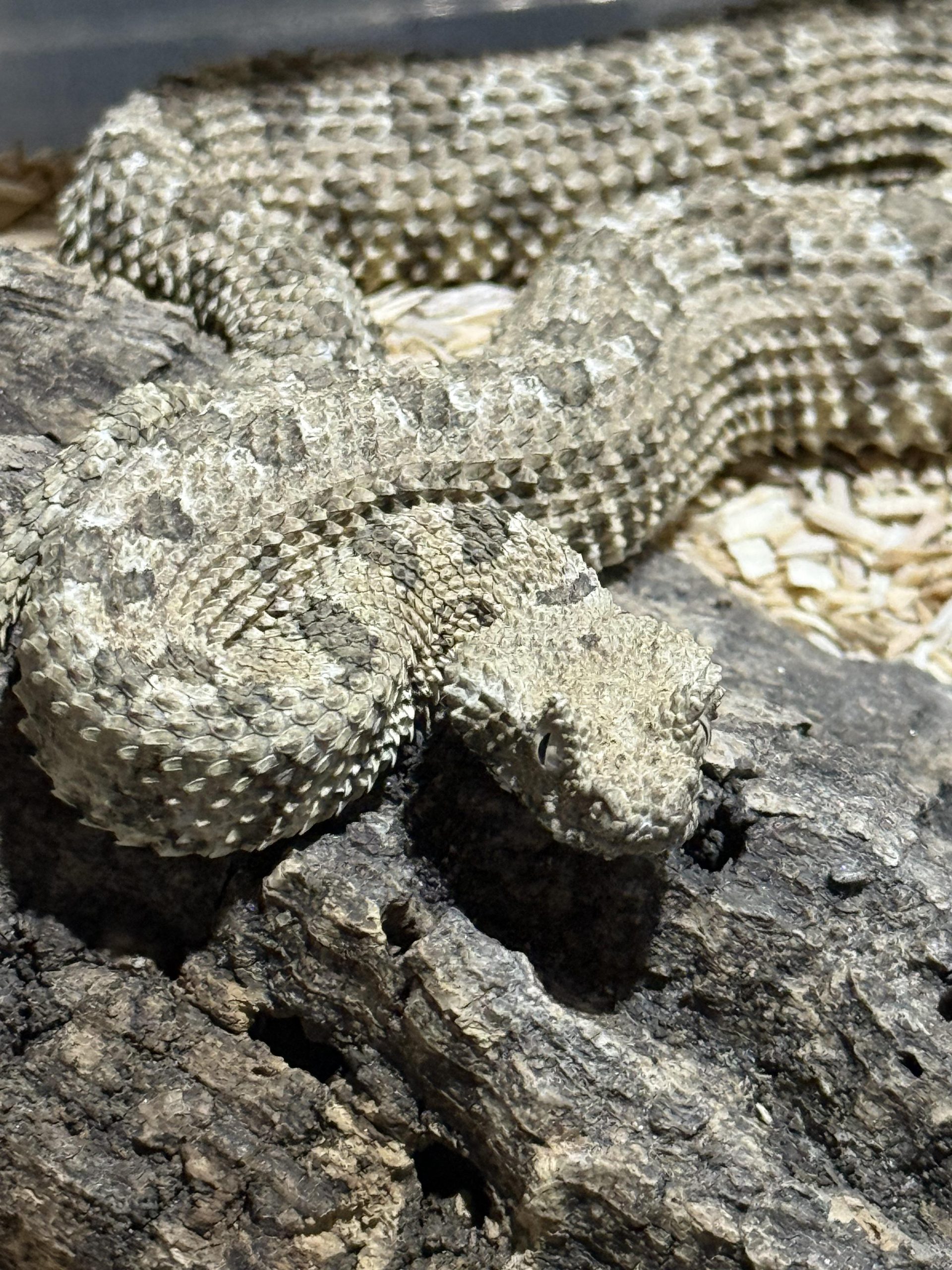 Mobile Tierarztpraxis - Hausbesuche